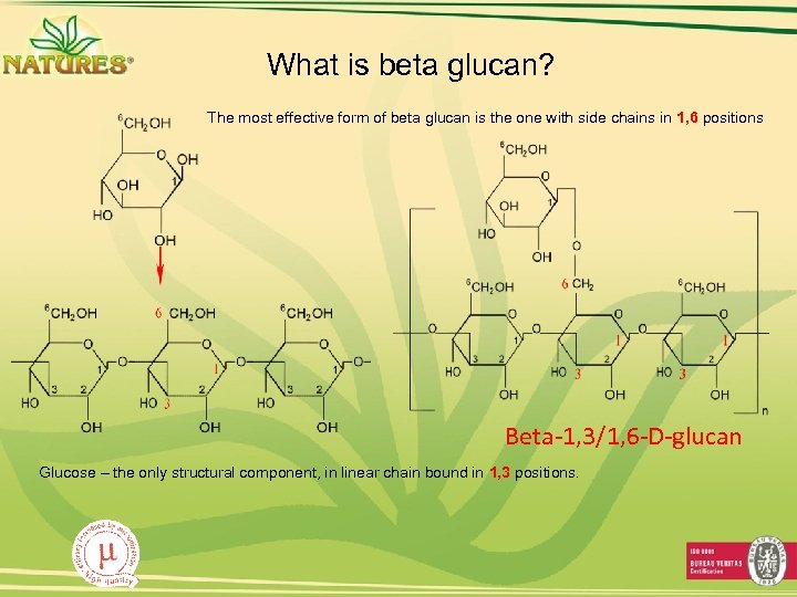 What is beta glucan? The most effective form of beta glucan is the one