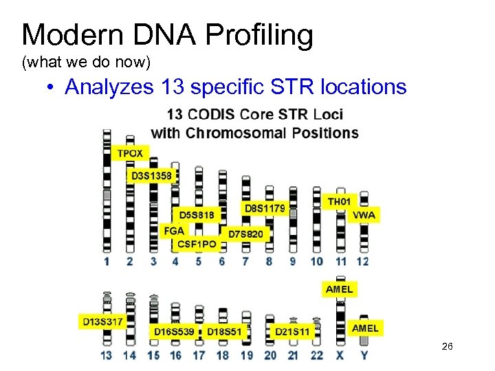 Modern DNA Profiling (what we do now) • Analyzes 13 specific STR locations 26