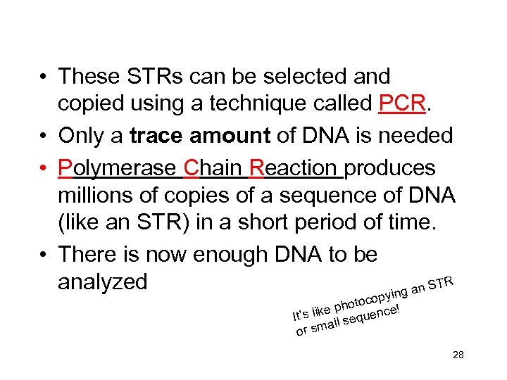  • These STRs can be selected and copied using a technique called PCR.