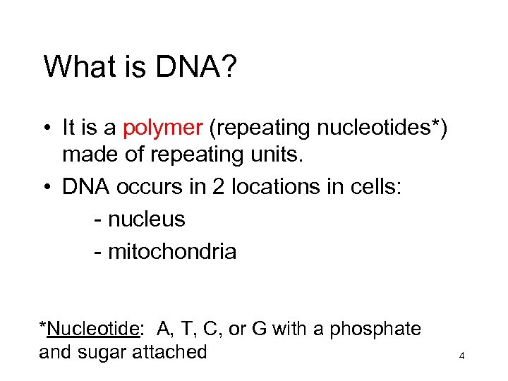 What is DNA? • It is a polymer (repeating nucleotides*) made of repeating units.