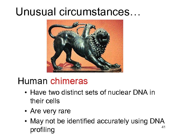 Unusual circumstances… Human chimeras • Have two distinct sets of nuclear DNA in their
