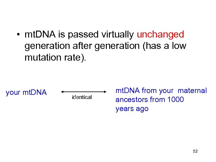  • mt. DNA is passed virtually unchanged generation after generation (has a low