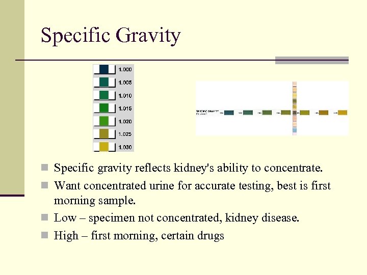Specific Gravity n Specific gravity reflects kidney's ability to concentrate. n Want concentrated urine