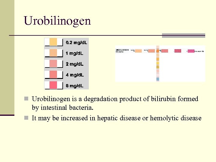 Urobilinogen n Urobilinogen is a degradation product of bilirubin formed by intestinal bacteria. n