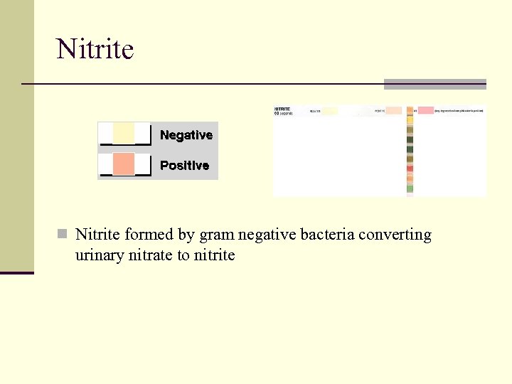 Nitrite n Nitrite formed by gram negative bacteria converting urinary nitrate to nitrite 