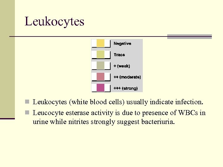 Leukocytes n Leukocytes (white blood cells) usually indicate infection. n Leucocyte esterase activity is