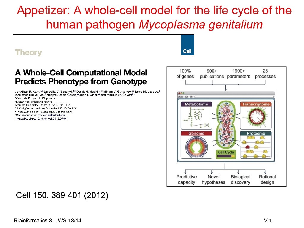 Appetizer: A whole-cell model for the life cycle of the human pathogen Mycoplasma genitalium