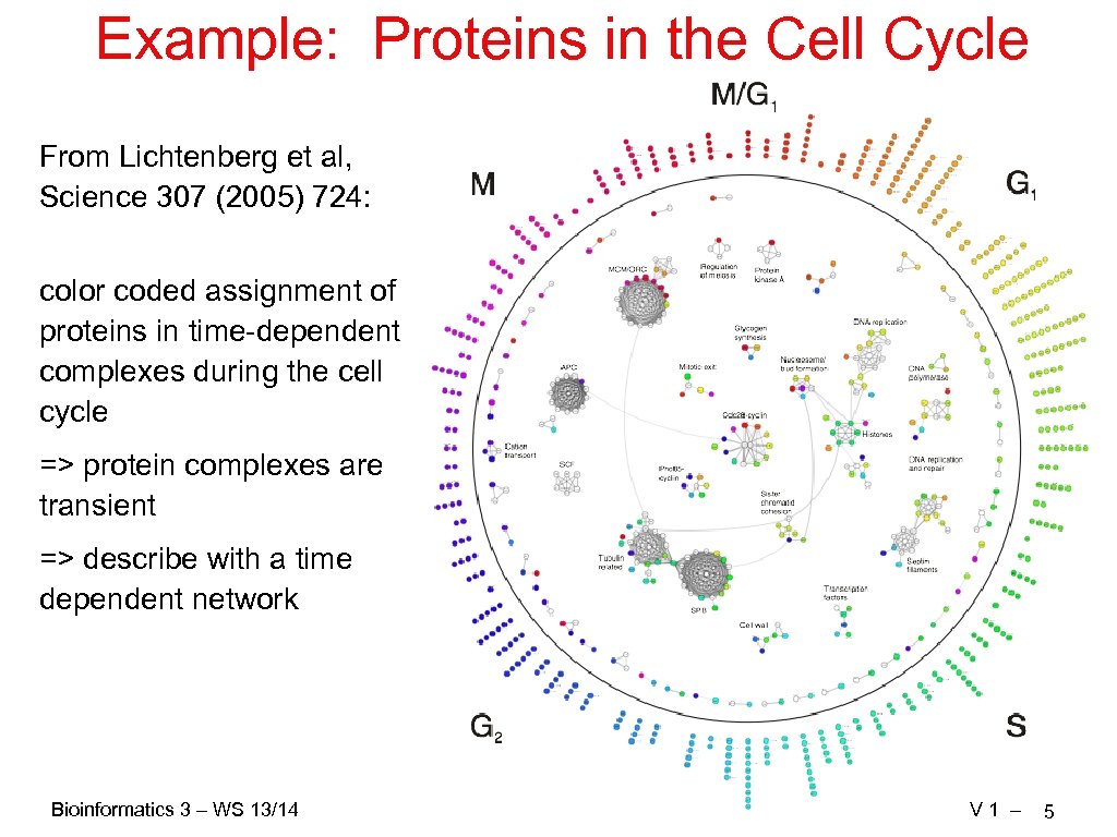 Example: Proteins in the Cell Cycle From Lichtenberg et al, Science 307 (2005) 724: