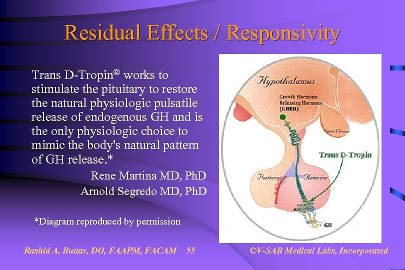 Residual Effects / Responsivity Trans D-Tropin® works to stimulate the pituitary to restore the