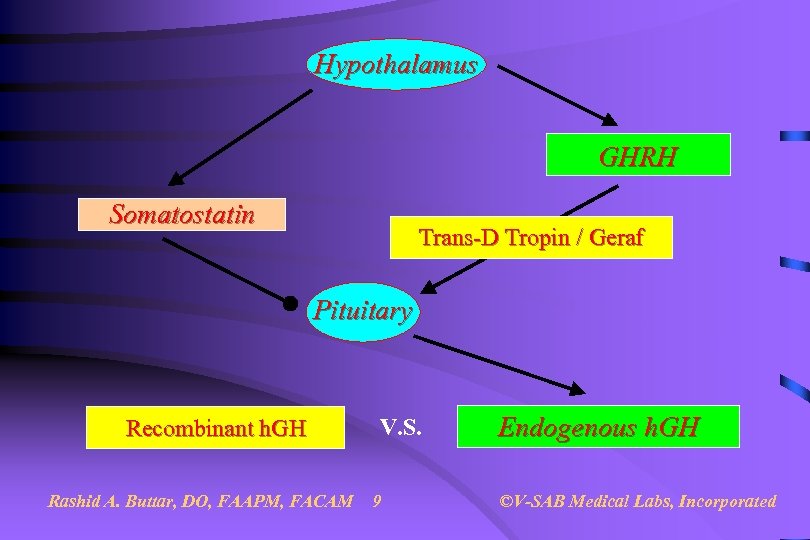 Hypothalamus GHRH Somatostatin Trans-D Tropin / Geraf Pituitary Recombinant h. GH Rashid A. Buttar,