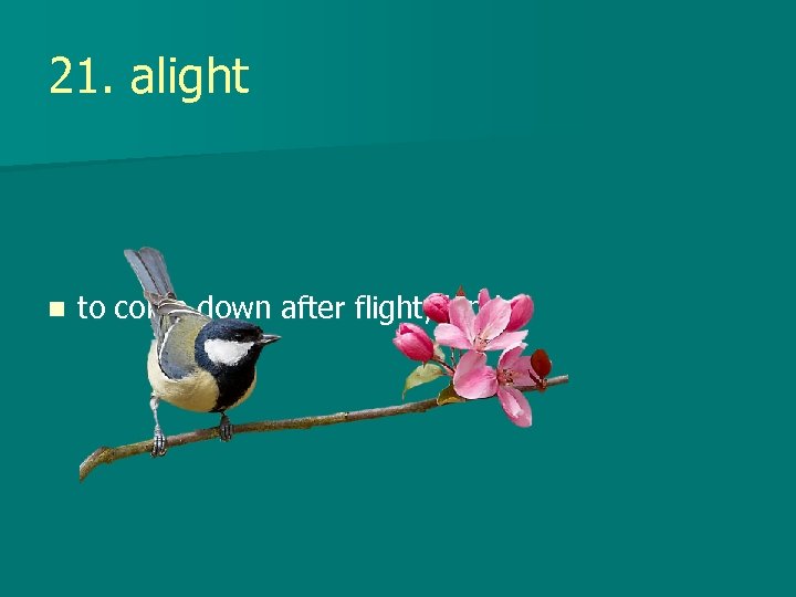 21. alight n to come down after flight; land 