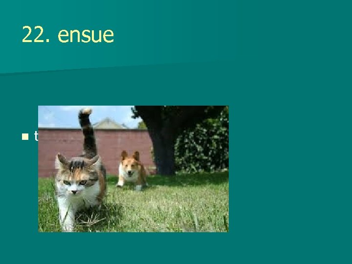 22. ensue n to come afterward or as a result 