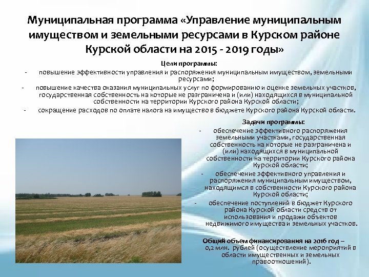 Муниципальная программа «Управление муниципальным имуществом и земельными ресурсами в Курском районе Курской области на