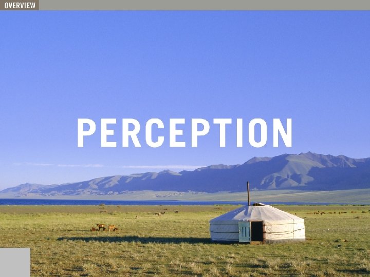 Perception 