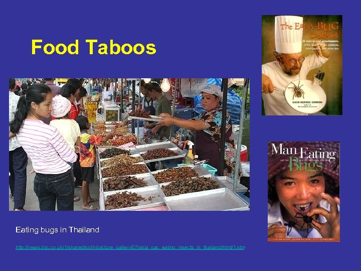 Food Taboos Eating bugs in Thailand http: //news. bbc. co. uk/1/shared/spl/hi/picture_gallery/07/asia_pac_eating_insects_in_thailand/html/1. stm 