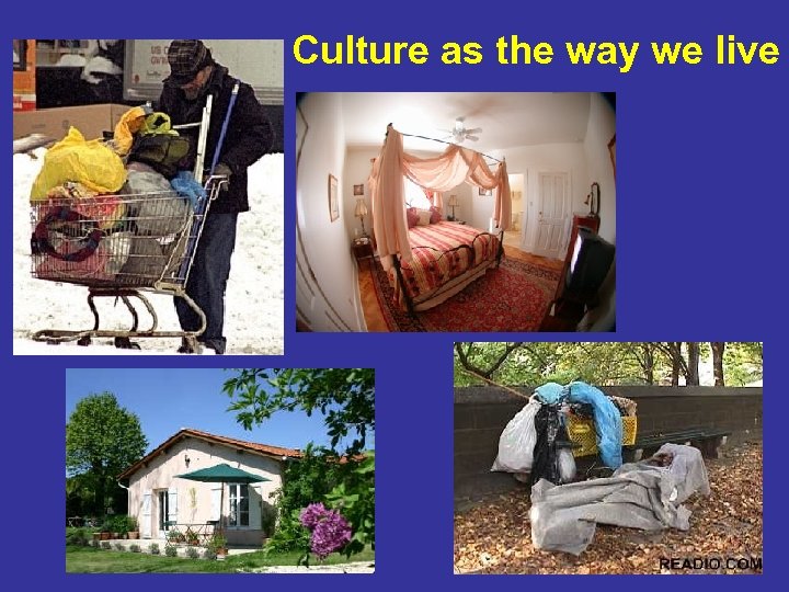 Culture as the way we live 