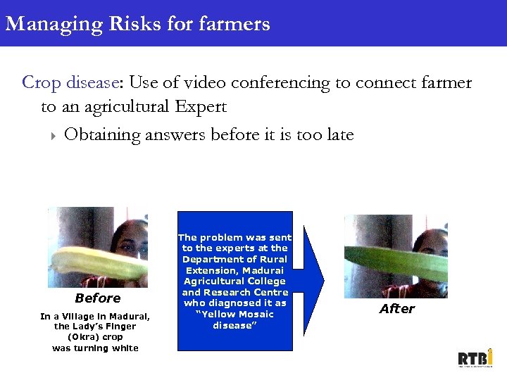 Managing Risks for farmers Crop disease: Use of video conferencing to connect farmer to