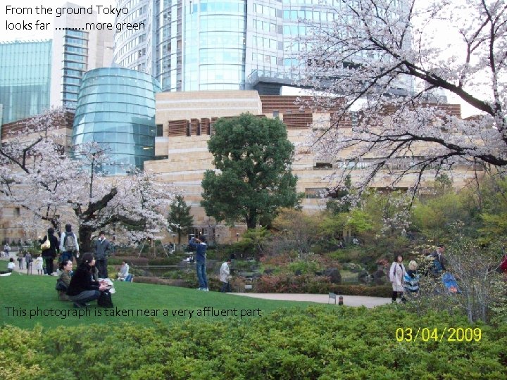 From the ground Tokyo looks far ………more green This photograph is taken near a