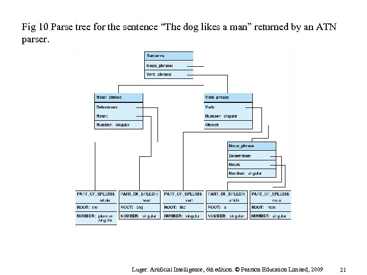 Fig 10 Parse tree for the sentence “The dog likes a man” returned by