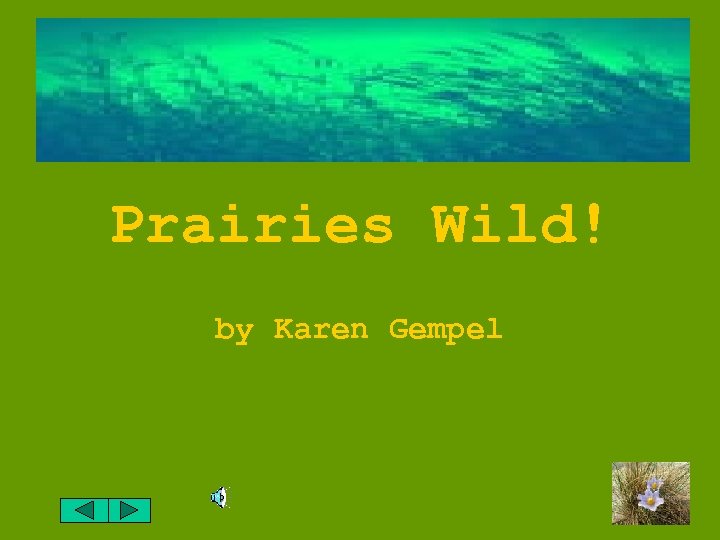 Prairies Wild! by Karen Gempel 