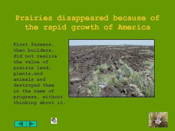 Prairies disappeared because of the rapid growth of America First farmers, then builders, did