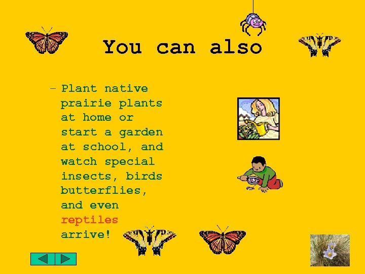 You can also – Plant native prairie plants at home or start a garden