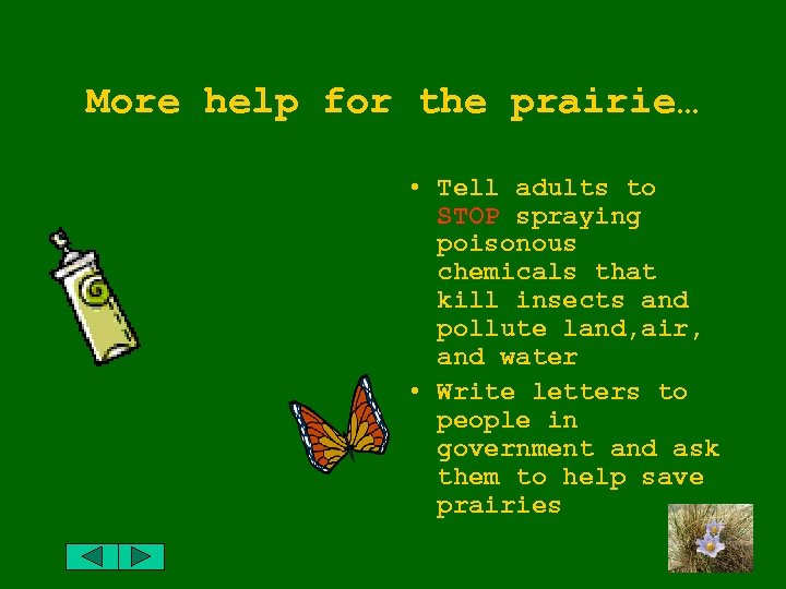 More help for the prairie… • Tell adults to STOP spraying poisonous chemicals that