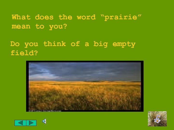 What does the word “prairie” mean to you? Do you think of a big