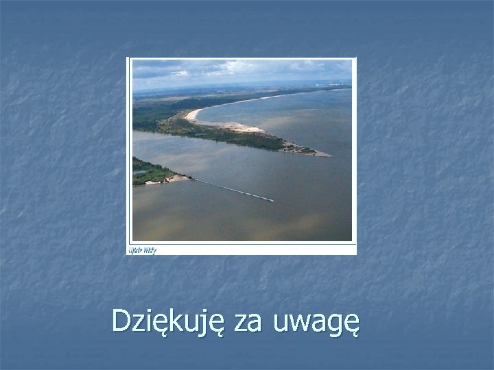 Dziękuję za uwagę 