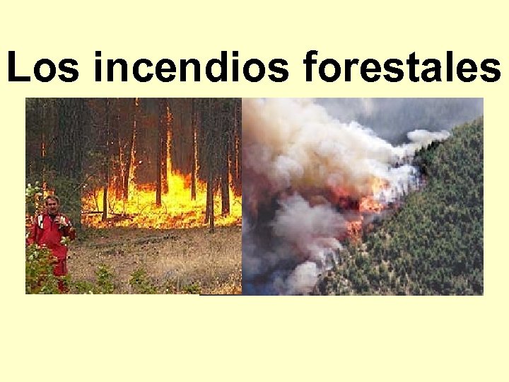 Los incendios forestales 