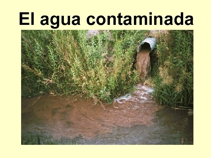 El agua contaminada 