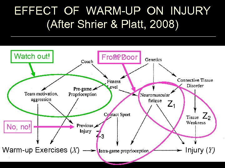 EFFECT OF WARM-UP ON INJURY (After Shrier & Platt, 2008) Watch out! ? ?