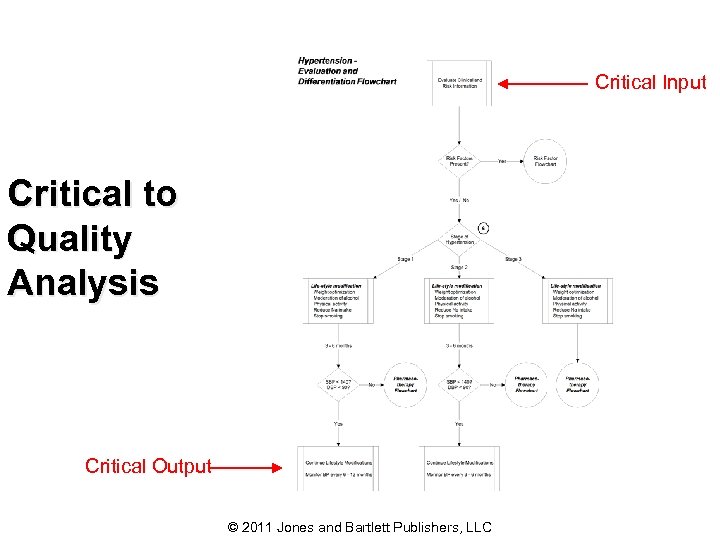 Critical Input Critical to Quality Analysis Critical Output © 2011 Jones and Bartlett Publishers,