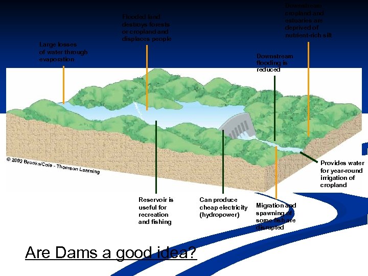 Large losses of water through evaporation Downstream cropland estuaries are deprived of nutrient-rich silt