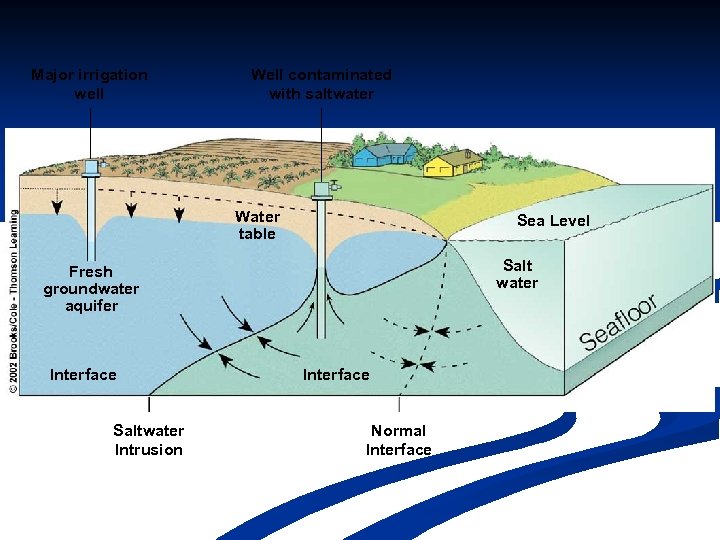 Major irrigation well Well contaminated with saltwater Water table Sea Level Salt water Fresh