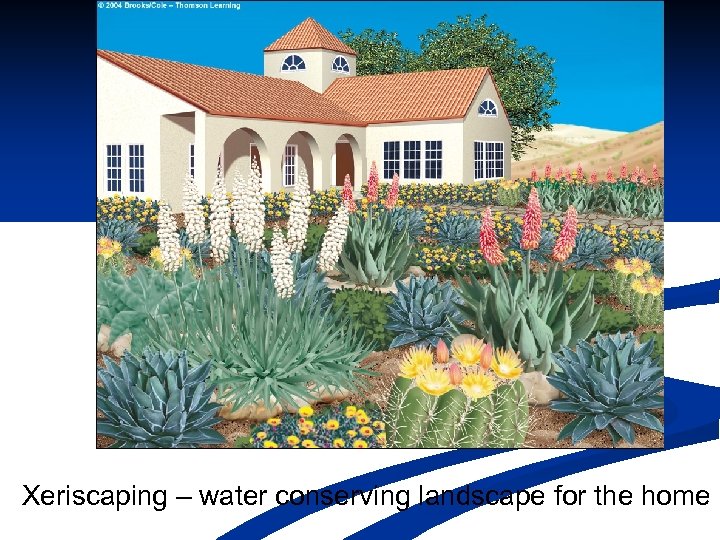 Xeriscaping – water conserving landscape for the home 