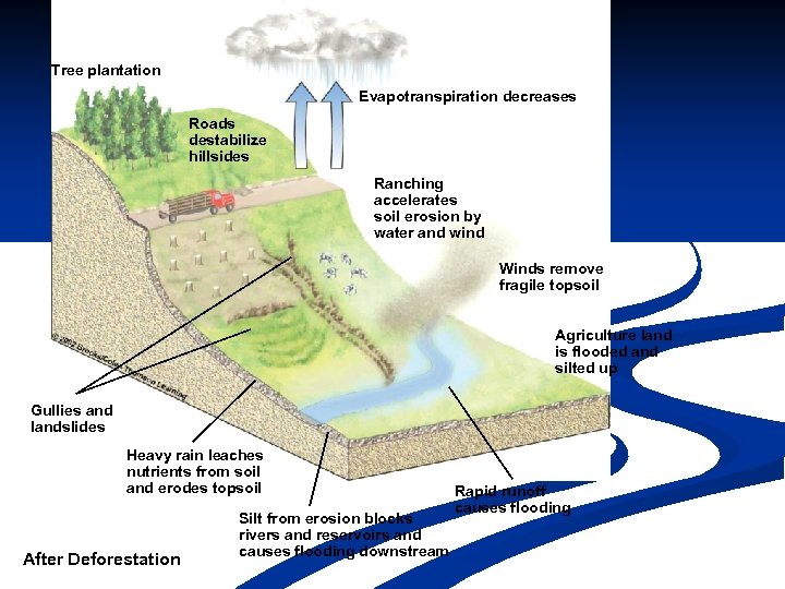 Tree plantation Evapotranspiration decreases Roads destabilize hillsides Ranching accelerates soil erosion by water and