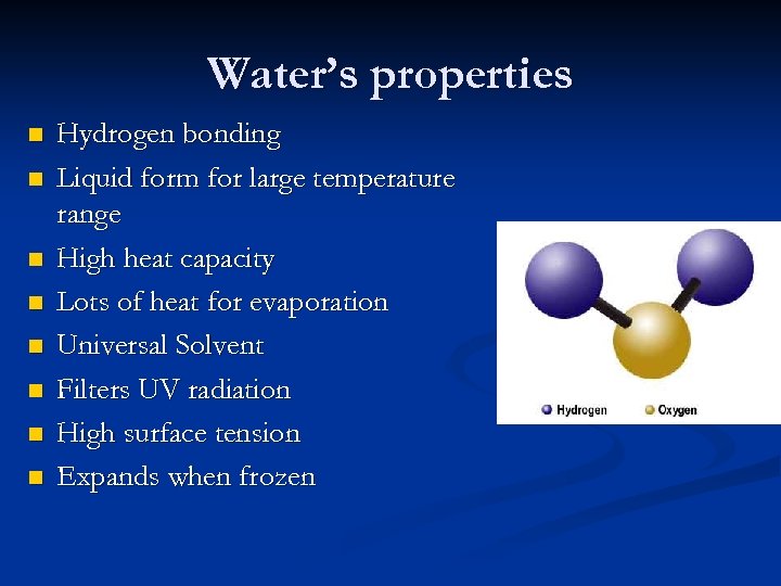 Water’s properties n n n n Hydrogen bonding Liquid form for large temperature range