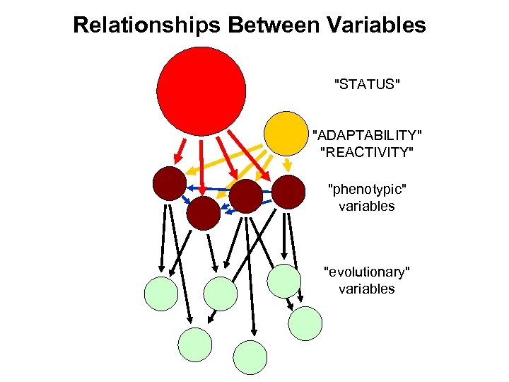 Relationships Between Variables 