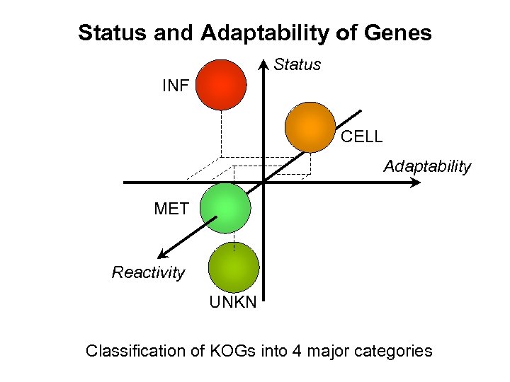 Status and Adaptability of Genes Status INF CELL Adaptability MET Reactivity UNKN Classification of