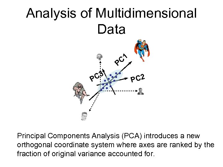 Analysis of Multidimensional Data C 1 P C 3 P PC 2 Principal Components