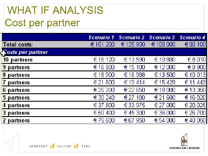 WHAT IF ANALYSIS Cost per partner 