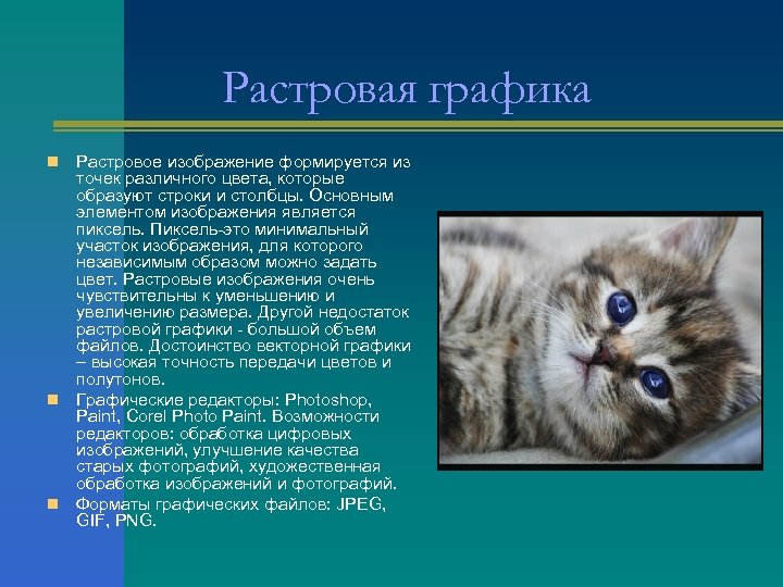Растровая графика Растровое изображение формируется из точек различного цвета, которые образуют строки и столбцы.