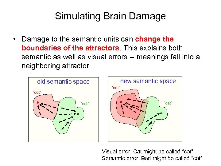 Simulating Brain Damage • Damage to the semantic units can change the boundaries of