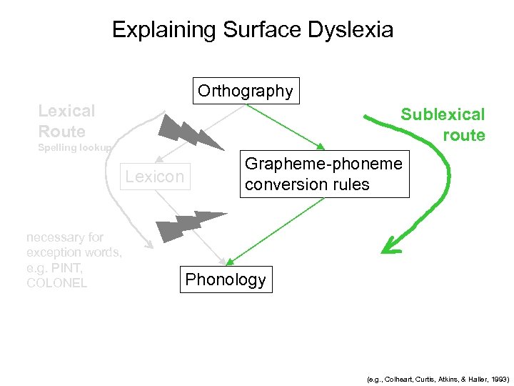 Explaining Surface Dyslexia Orthography Lexical Route Sublexical route Spelling lookup Lexicon necessary for exception