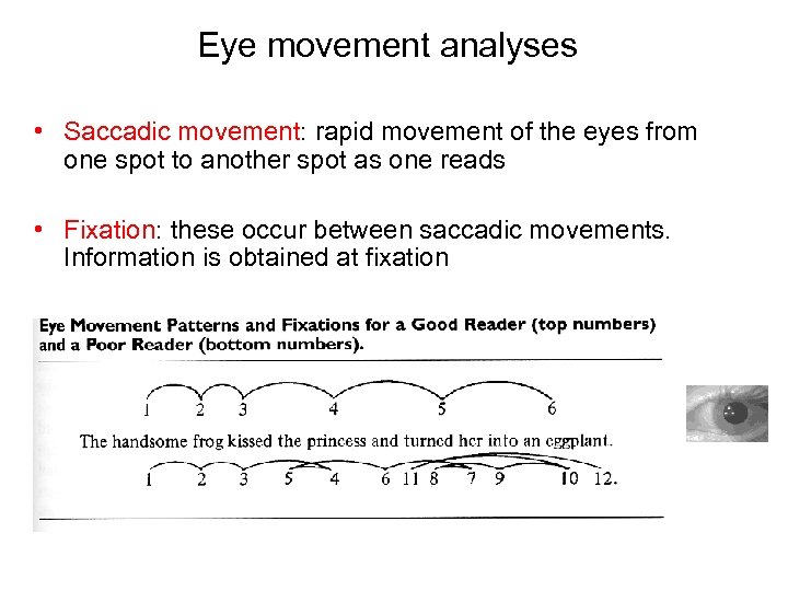 Eye movement analyses • Saccadic movement: rapid movement of the eyes from one spot