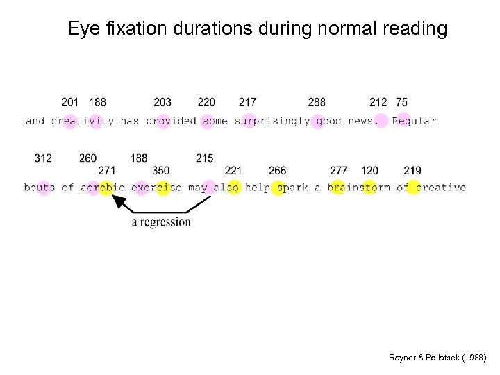 Eye fixation durations during normal reading Rayner & Pollatsek (1988) 