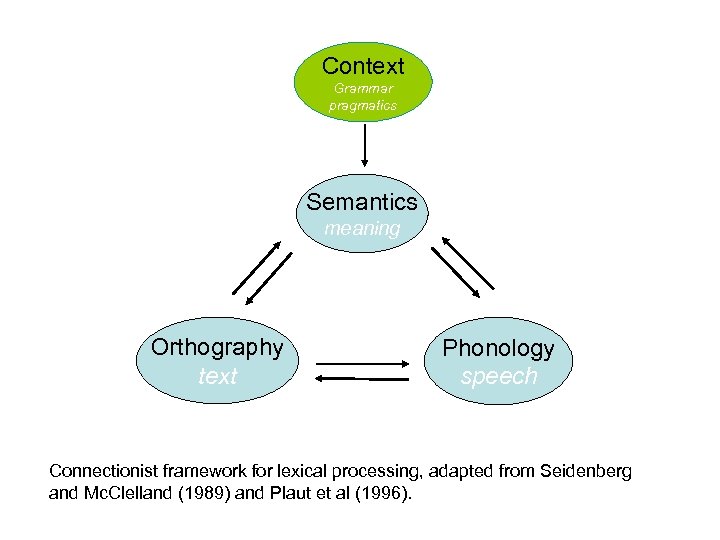 Context Grammar pragmatics Semantics meaning Orthography text Phonology speech Connectionist framework for lexical processing,