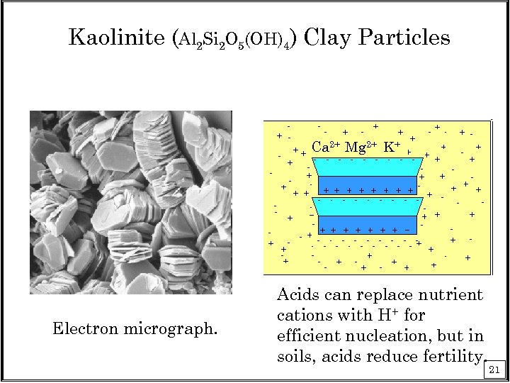Kaolinite (Al 2 Si 2 O 5(OH)4) Clay Particles Ca 2+ Mg 2+ K+