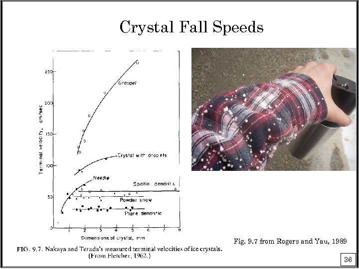 Crystal Fall Speeds Fig. 9. 7 from Rogers and Yau, 1989 36 